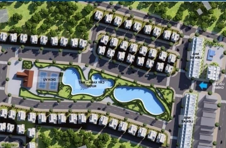 Dabaco Lạc Vệ