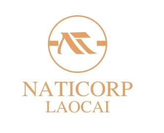 Công ty Cổ phần Nam Tiến Lào Cai