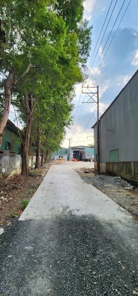 Cho thuê kho, nhà xưởng 2500m2 tại An Điền, Bình Dương