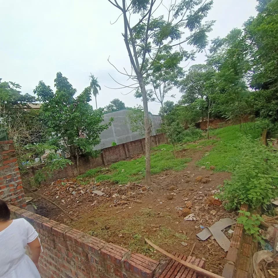 Cần bán đất 100m2 cắt lỗ 700 triệu tại Phú Cát, Hà Nội