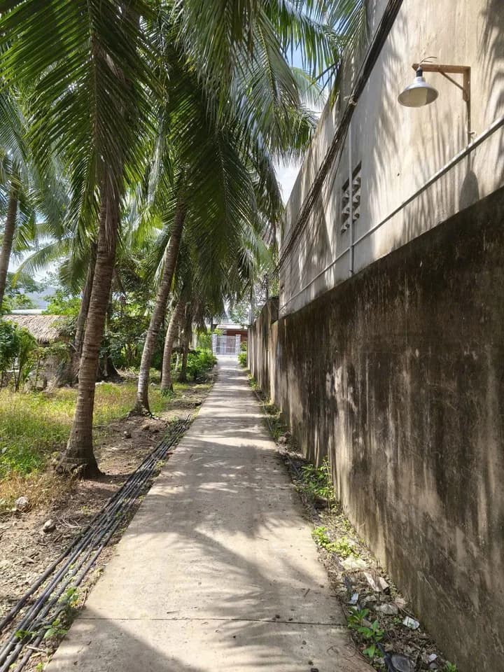 Cho thuê mặt bằng kinh doanh 500m2 tại Phú Khương, Bến Tre