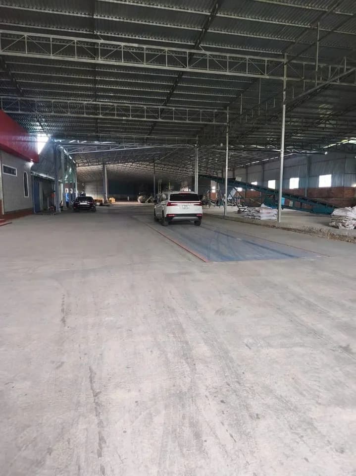 Cho thuê kho, nhà xưởng 6000m2 có sẵn 3 pha tại An Hội, Bến Tre