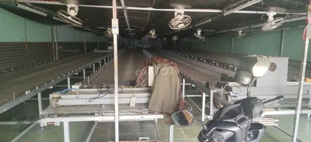 Cần sang xưởng in 500m2 tại Tân Khánh, TP. Hồ Chí Minh