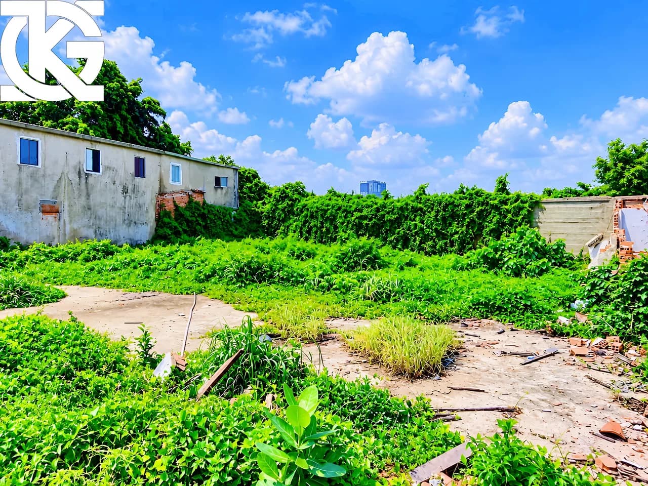 Cho thuê đất mặt tiền 1000m2 tại Thạnh Mỹ Tây, TP. Hồ Chí Minh