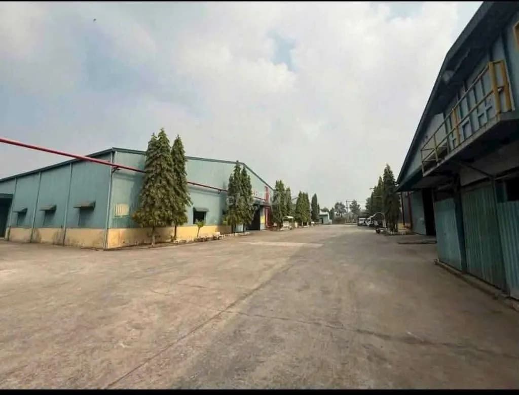 Cho thuê kho, nhà xưởng 3000m2 tại Khánh Bình, Bình Dương